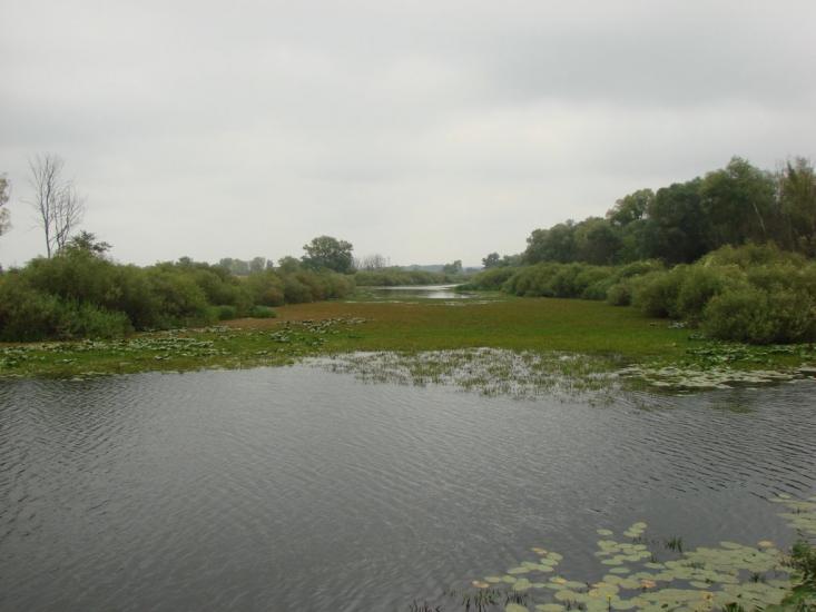 Зазим'я з panoramio.com - Зазимье