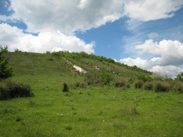 Бахмутівка з panoramio.com - Бахмутовка