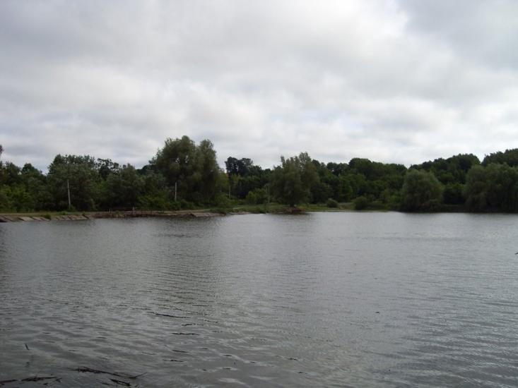 Чернявка з panoramio.com - Чернявка