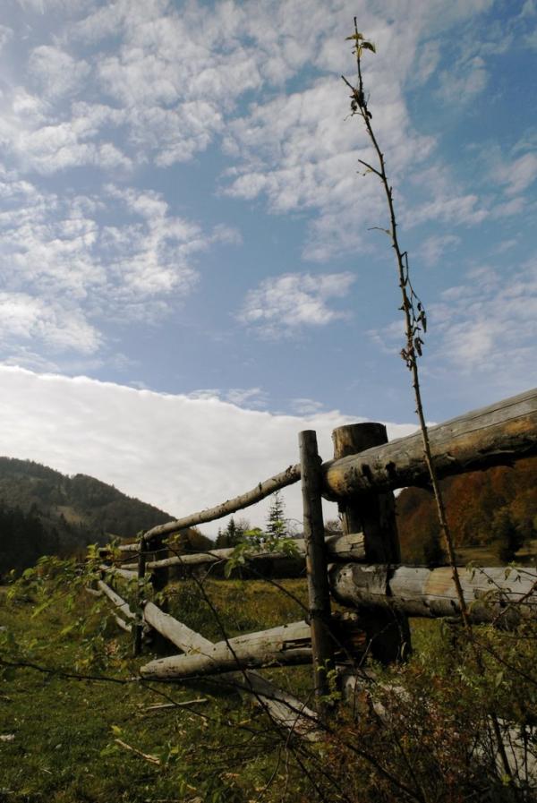 Рибник з panoramio.com - Rybnyk