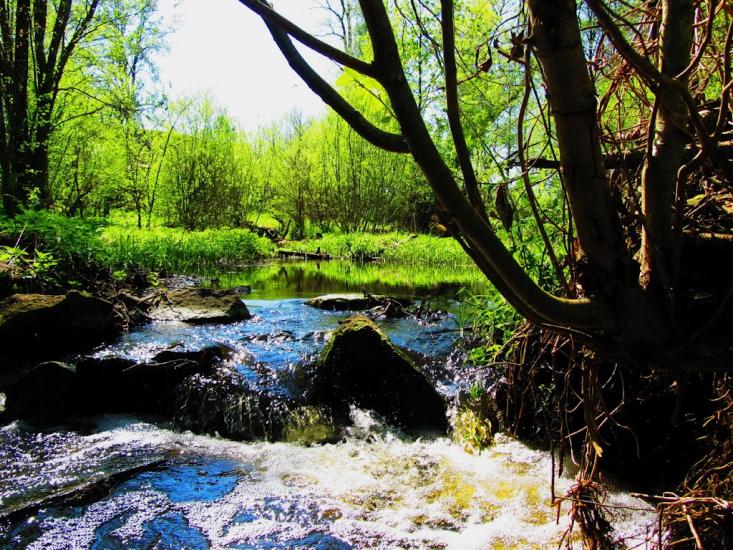 Мелені з panoramio.com - Meleni