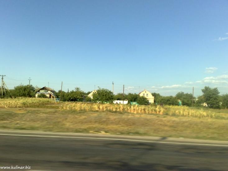 Кам'янське з panoramio.com - Кам'янське