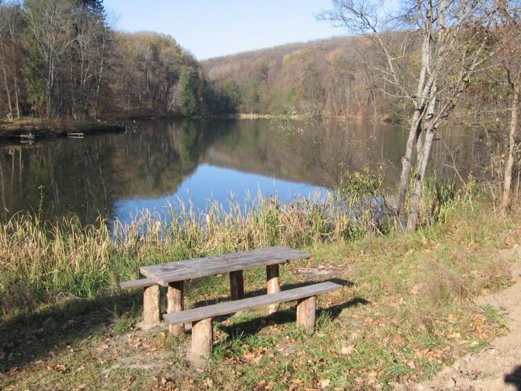 Вакалівщина з panoramio.com - Вакаловщина