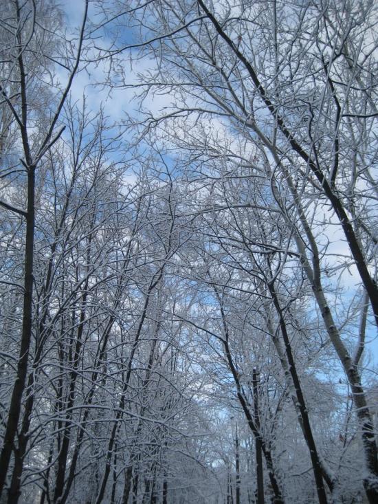 Мізоч з panoramio.com - Мизоч