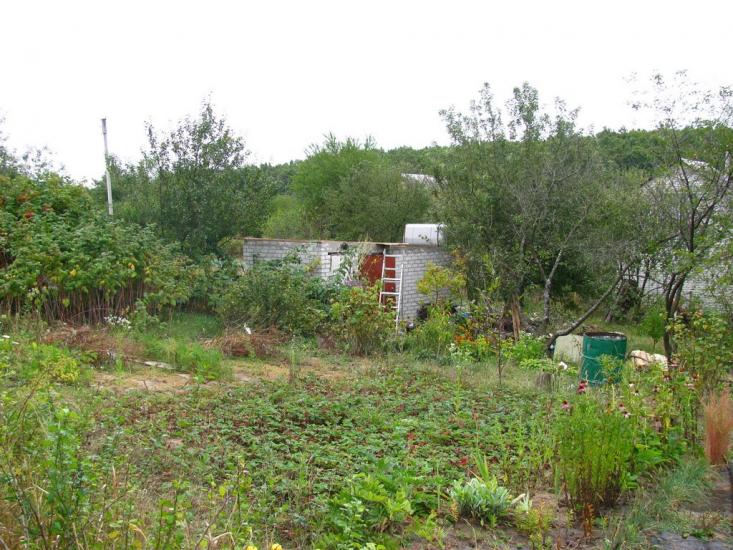 Циркуни з panoramio.com - Циркуни