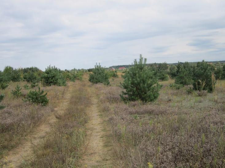 Паланки з panoramio.com - Паланки