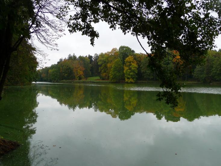 Васьківці з panoramio.com - Васьковцы