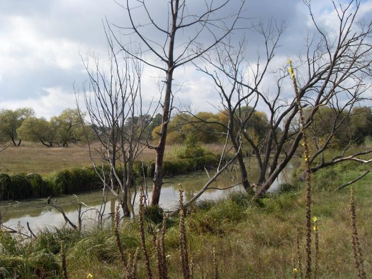 Мала Солтанівка з panoramio.com - Мала Солтанівка