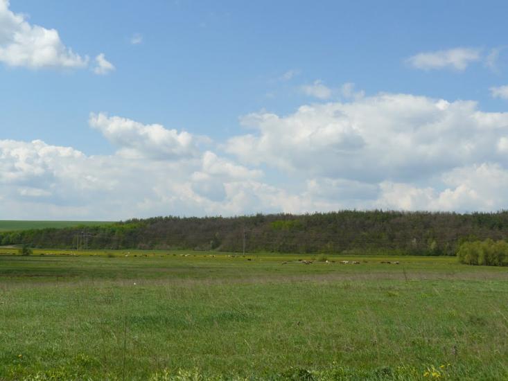 Карбівка з panoramio.com - Карбівка