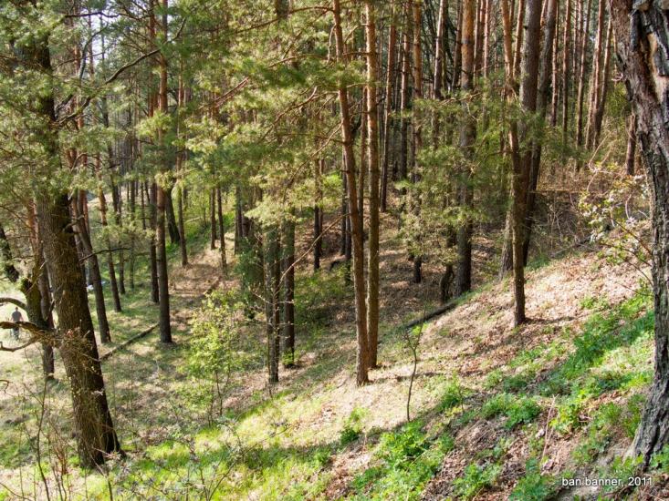 Лугини з panoramio.com - Лугины