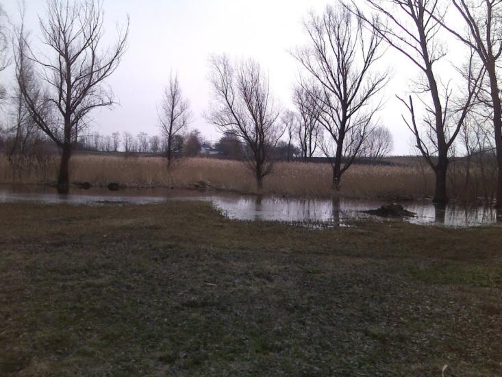 Степанівка з panoramio.com - Степановка