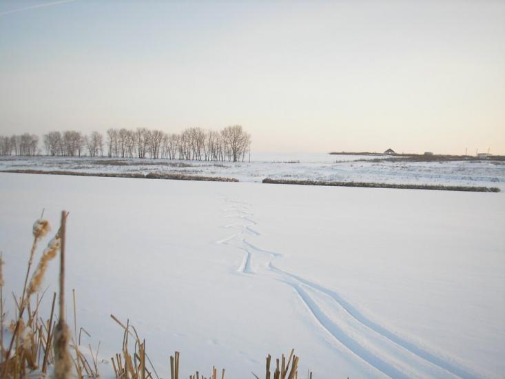 Висока Яруга з panoramio.com - Висока Яруга