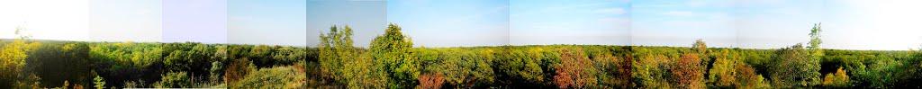 Введенка з panoramio.com - Введенка