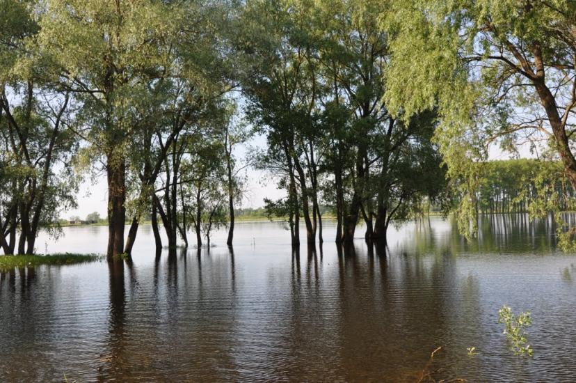 Остер з panoramio.com - Остер