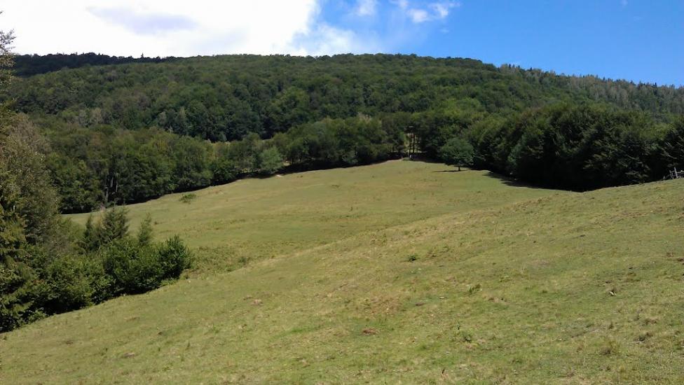 Прокурава з panoramio.com - Прокурава