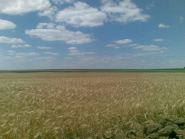 Любопіль з panoramio.com - Любопіль