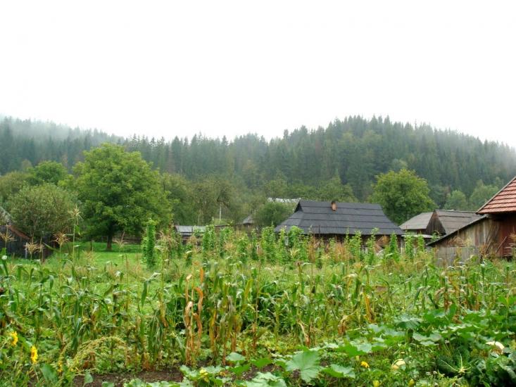 Прокурава з panoramio.com - Прокурава