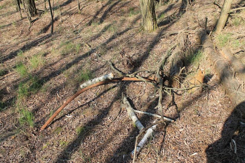 Мелені з panoramio.com - Meleni