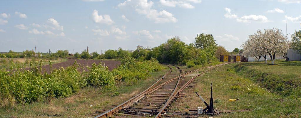 Сквира з panoramio.com - Skvyra