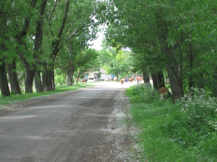 Хворостянівка з panoramio.com - Хворостянівка