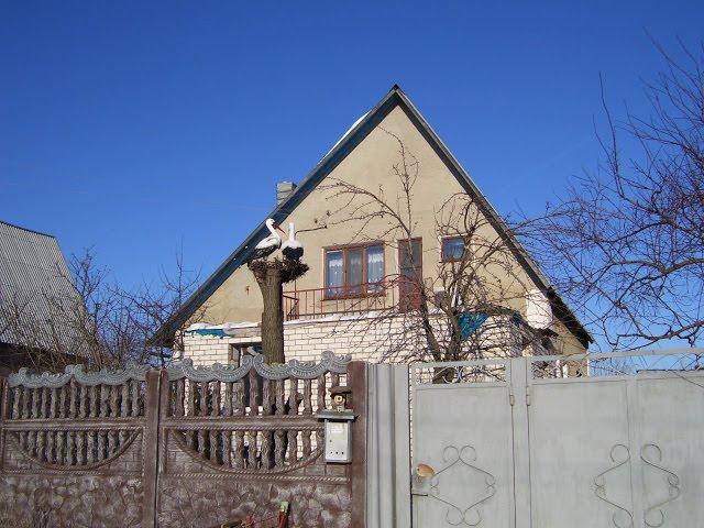 Буди з panoramio.com - Буди