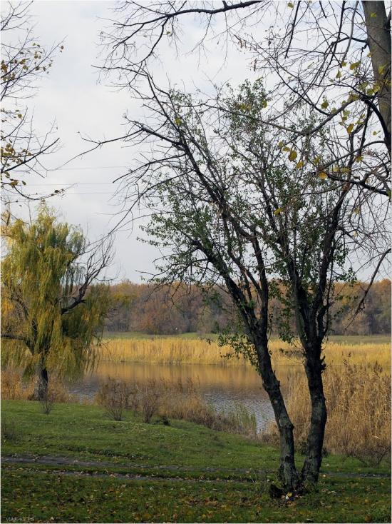 Новоіванівка з panoramio.com - Новоивановка