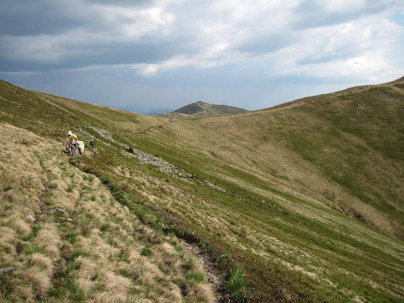 Усть-Чорна з panoramio.com - Усть-Чорна