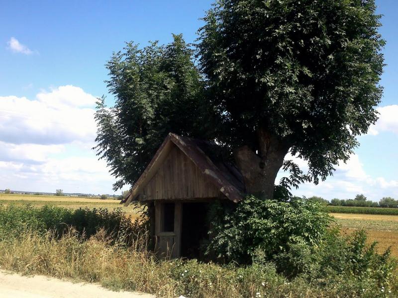 Буців з panoramio.com - Буцов