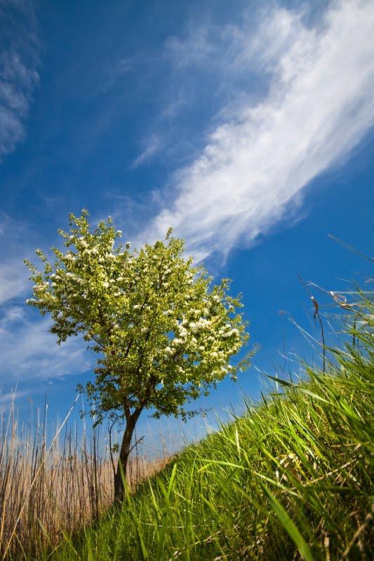 Єрки з panoramio.com - Єрки