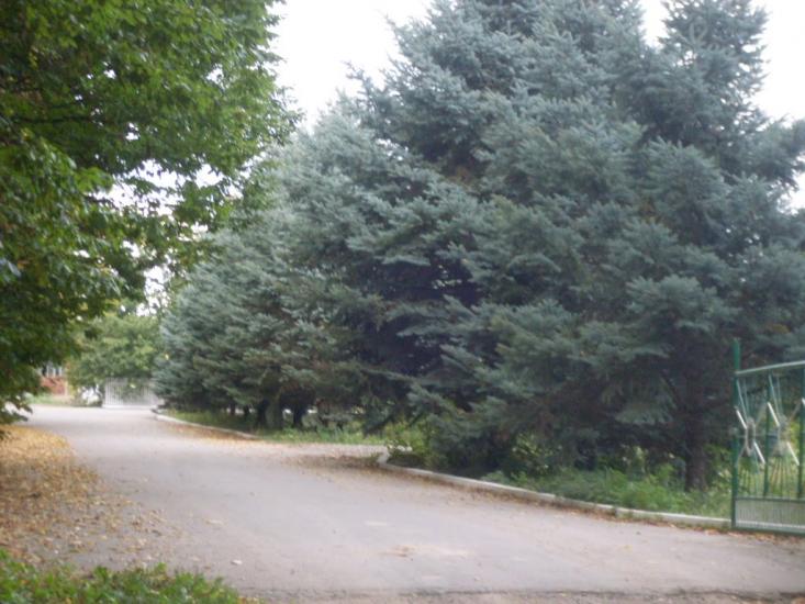 Бережне з panoramio.com - Бережное