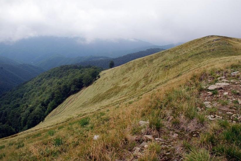 Руська Мокра з panoramio.com - Русская Мокрая