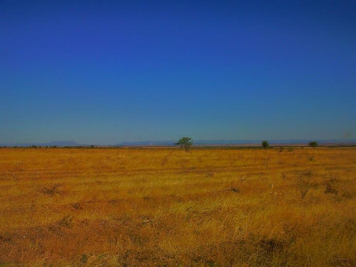 Берегове з panoramio.com - Берегово
