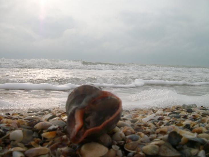 Круглоозерка з panoramio.com - Круглоозерка