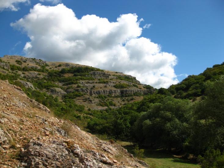 Дружне з panoramio.com - Дружне