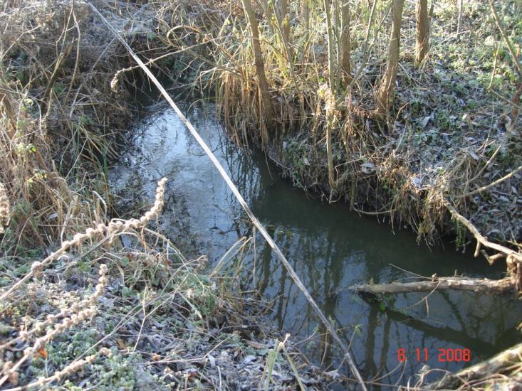 Добротимофіївка з panoramio.com - Добротимофіївка