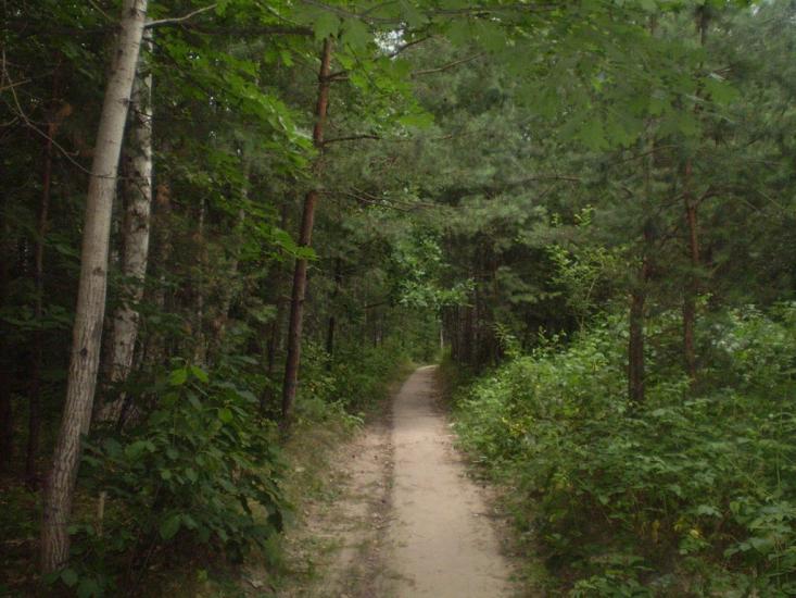 Селище з panoramio.com - Селище