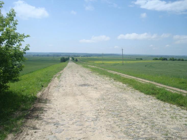 Черепова з panoramio.com - Черепова