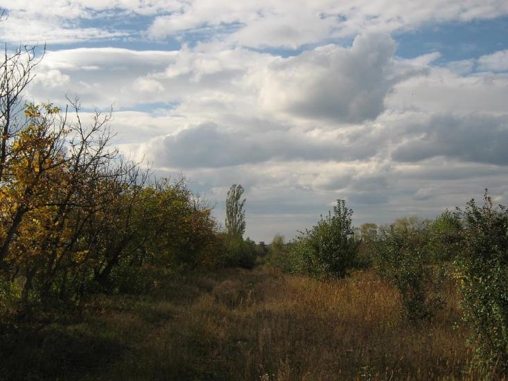 Петрівське з panoramio.com - Петрівське