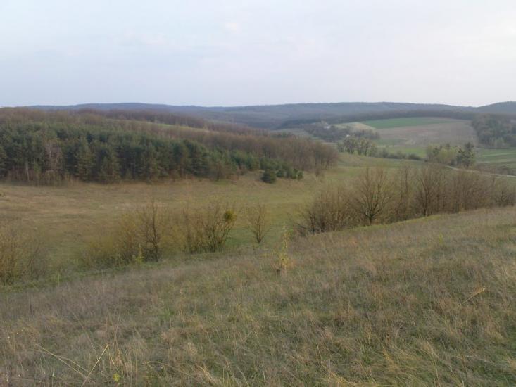 Лубенці з panoramio.com - Лубенцы