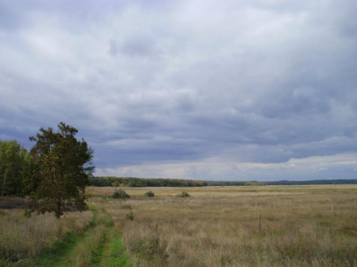 Котовка з panoramio.com - Котовка