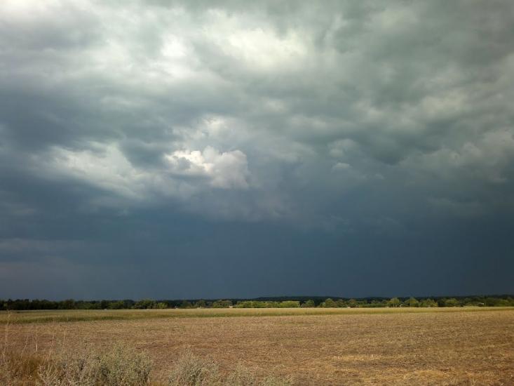 Сніжна з panoramio.com - Сніжна
