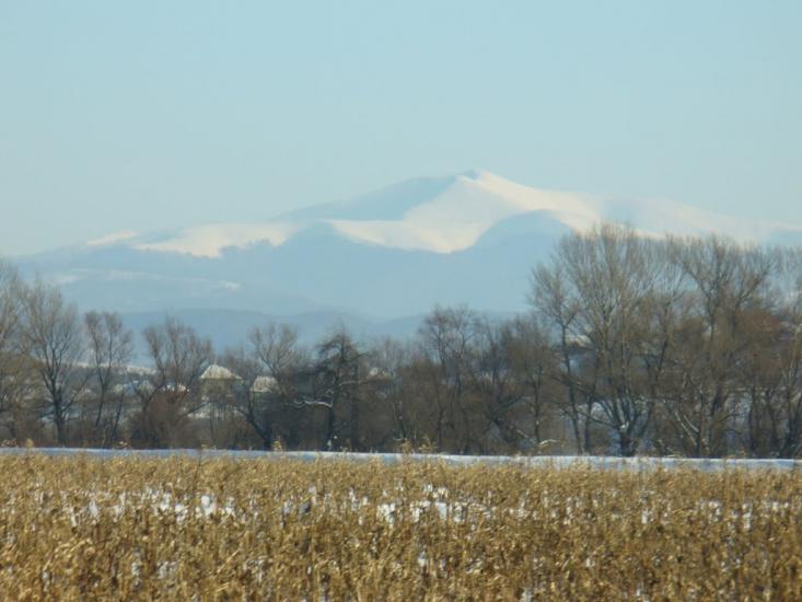 Пасіка з panoramio.com - Пасека