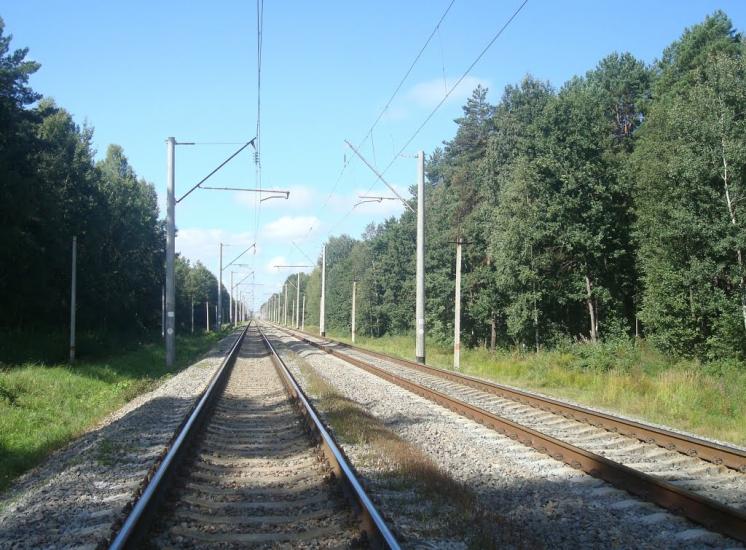 Рудня-Новенька з panoramio.com - Рудня-Новенька