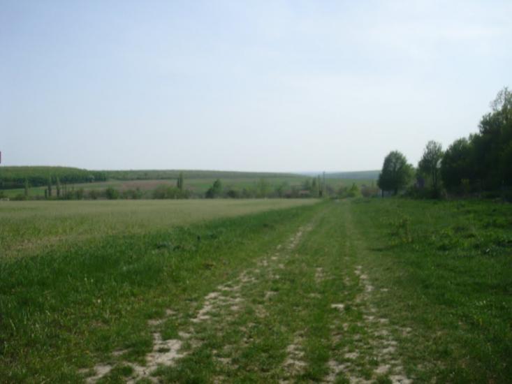 Маціорськ з panoramio.com - Маціорськ