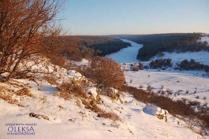 Рєпіне з panoramio.com - Рєпіне