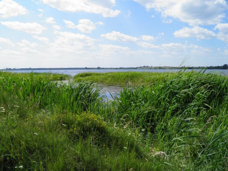 Набережне з panoramio.com - Набережное