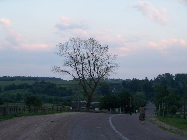 Словечне з panoramio.com - Словечне