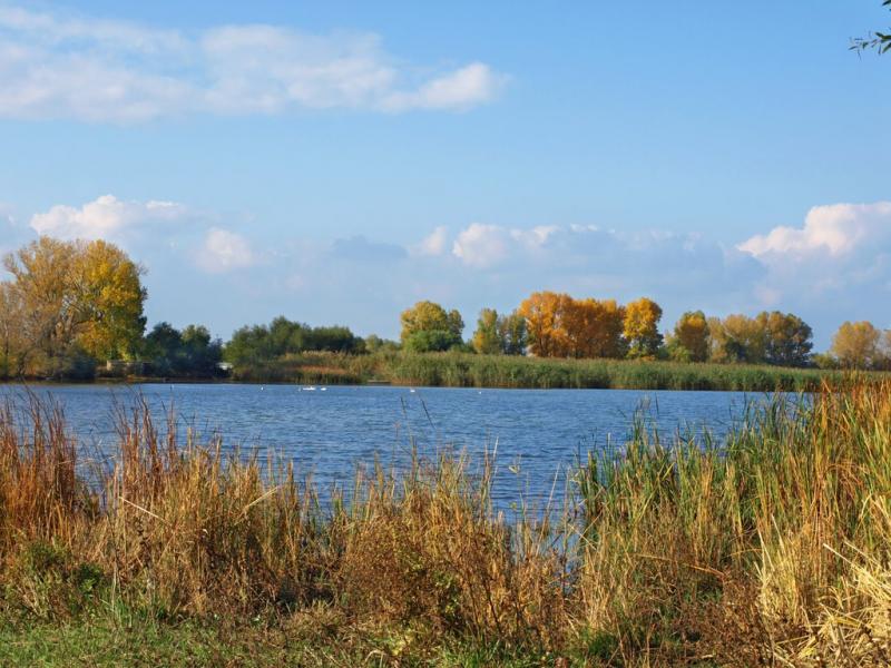 Сухолужжя з panoramio.com - Сухолужжя