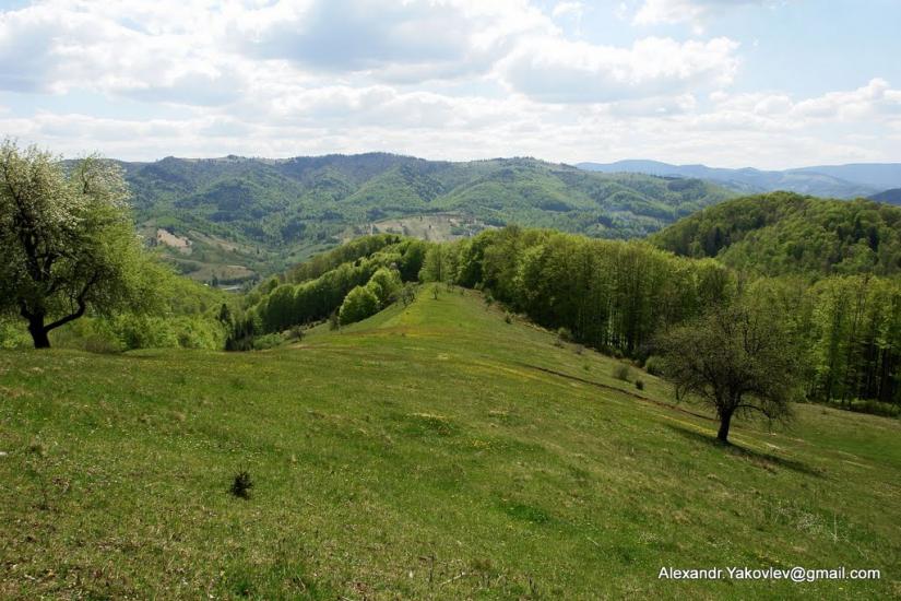 Прокурава з panoramio.com - Прокурава