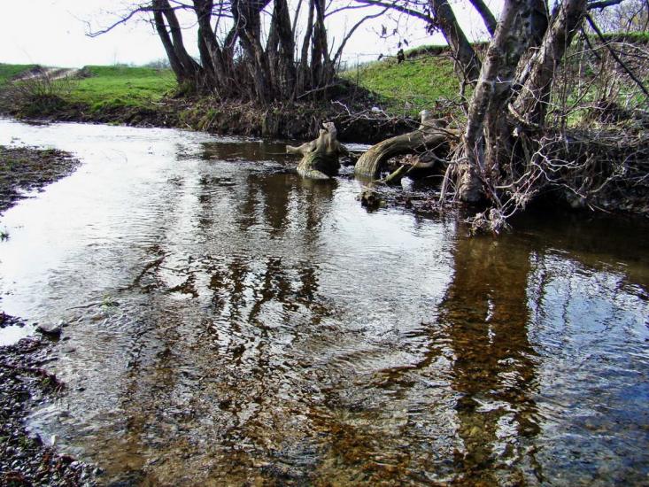 Картушине з panoramio.com - Картушино